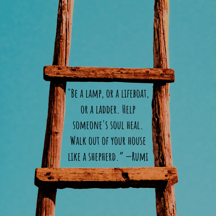"Be a lamp, or a lifeboat, or a ladder. Help someone's soul heal. Walk out of your house like a shepherd.” —Rumi