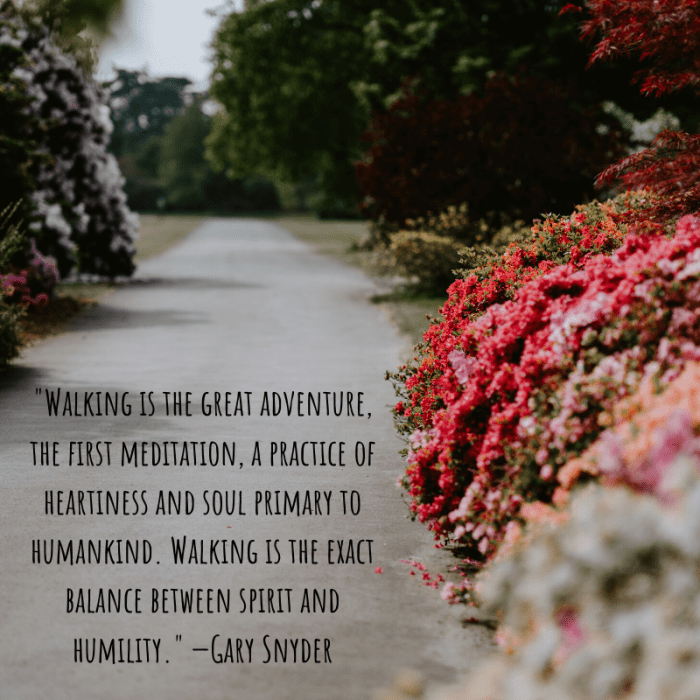 Walking doesn't just benefit the body—it stills the mind and calms the nerves.
