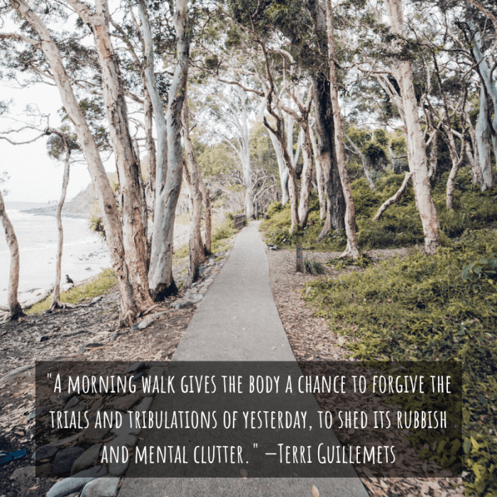Walking—especially in parks or natural areas—is one of the best ways to experience the world's beauty.