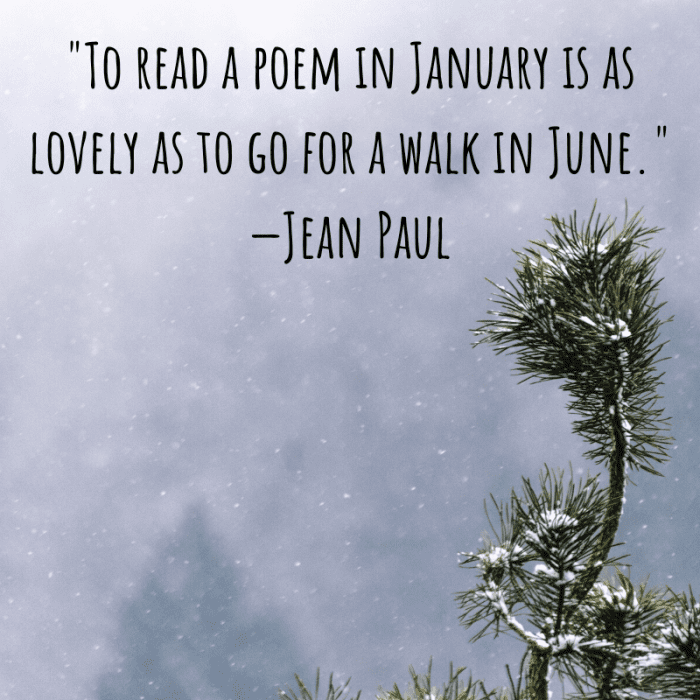 31 Quotes About January and What Makes It Unique - Holidappy