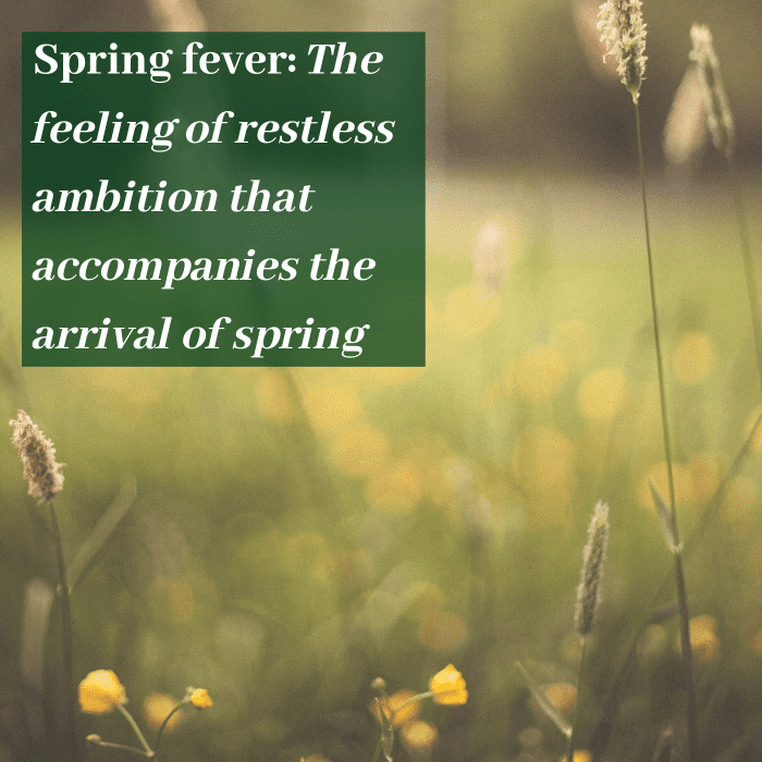 Common Spring Season Idioms, Adages, Quotes, and Sayings Holidappy