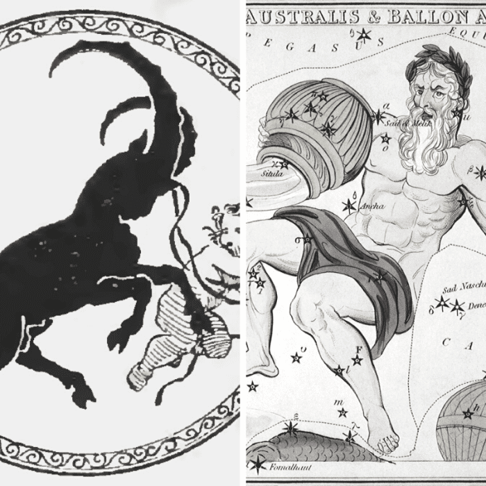 People born in January have either Capricorn (left) or Aquarius (right) as their zodiac sign.