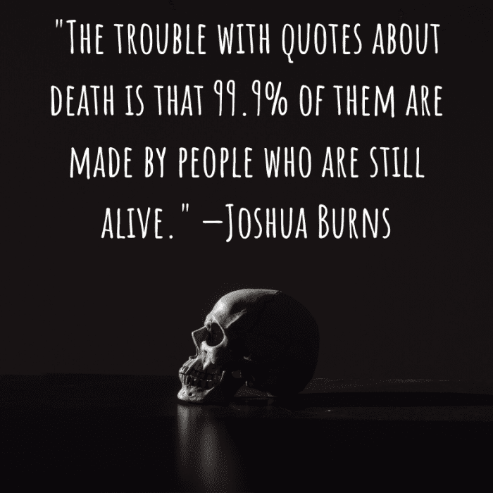 Funny and Clever Quotes About Mortality, Death, and Dying - Holidappy