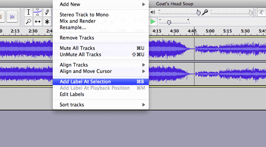 After making a selection between tracks, add the name of the song by clicking Tracks Add Label at Selection.