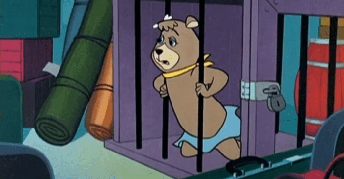 Cindy tries to get herself sent to San Diego to join Yogi, but instead gets shipped off to St. Louis.