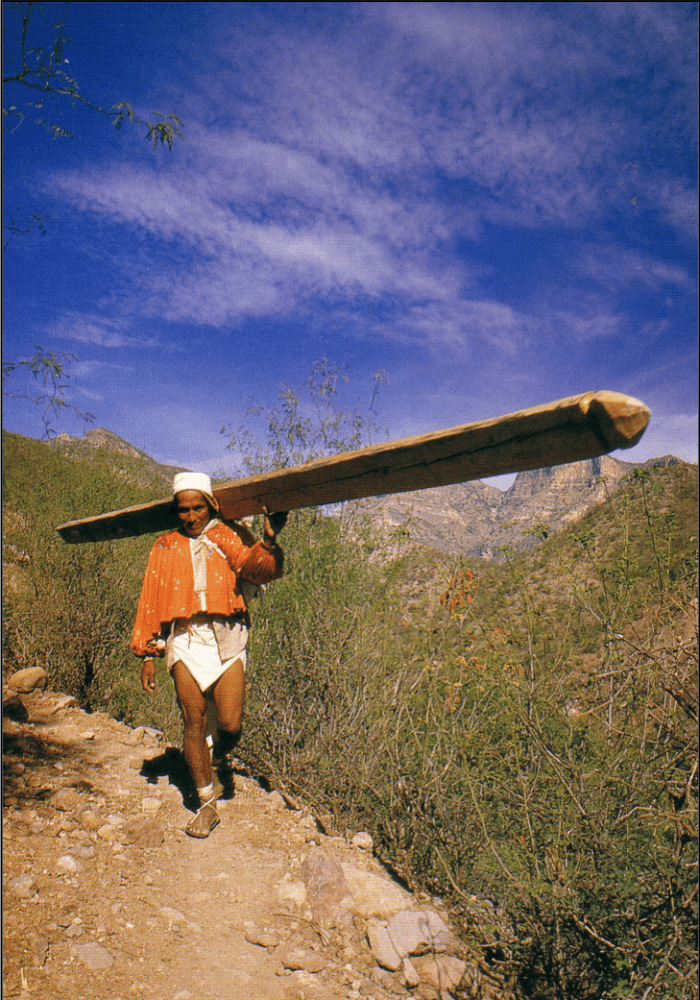 Walking or running is often the Tarahumara Indians' preferred form of transportation in their rugged homeland.