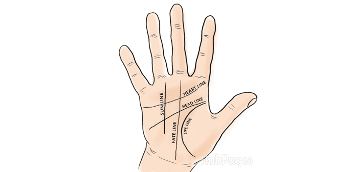 What Do the Lines on Your Palm Mean? 5 Lines Explained - HubPages