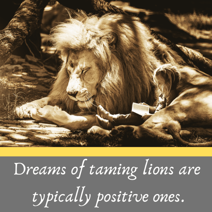 what-do-dreams-about-lions-mean-exemplore