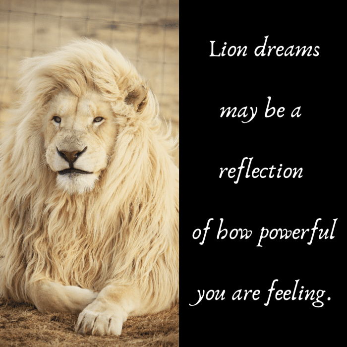 What Do Dreams About Lions Mean? Exemplore