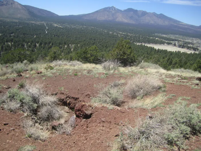 A view of the San Francisco Peaks from the summit of Old Caves Crater