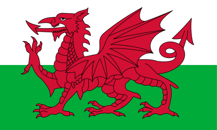 The red dragon of Wales; Henry Tudor carried this banner into battle at Bosworth Field and won his victory to become King of England