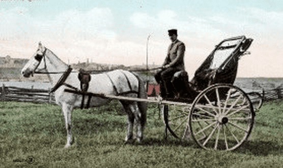 If you dream about a carriage rather than a car, consider whether you might be clinging to nostalgia.