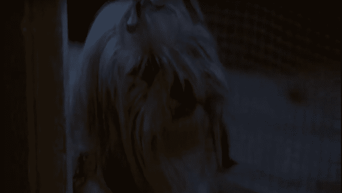 Muffin may or may not have met one of the worst serial killers in cinema history and lived to bark the tale.