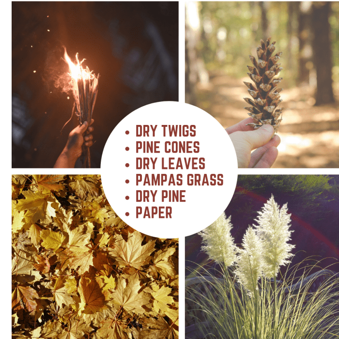 Twigs, pinecones, dry leaves, dry pine, and pampas grass make for good kindling. Pampas grass is extremely flammable and is considered invasive.
