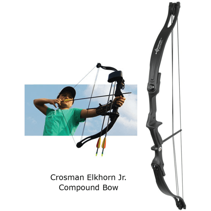 The Best Beginner Bows for Target Archery SkyAboveUs