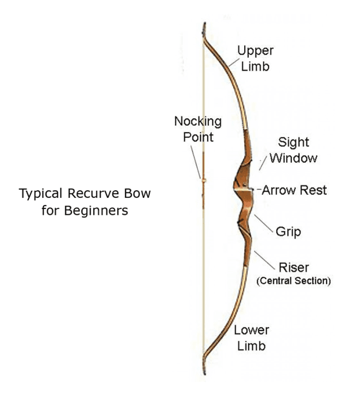 The Best Beginner Bows For Target Archery - Skyaboveus