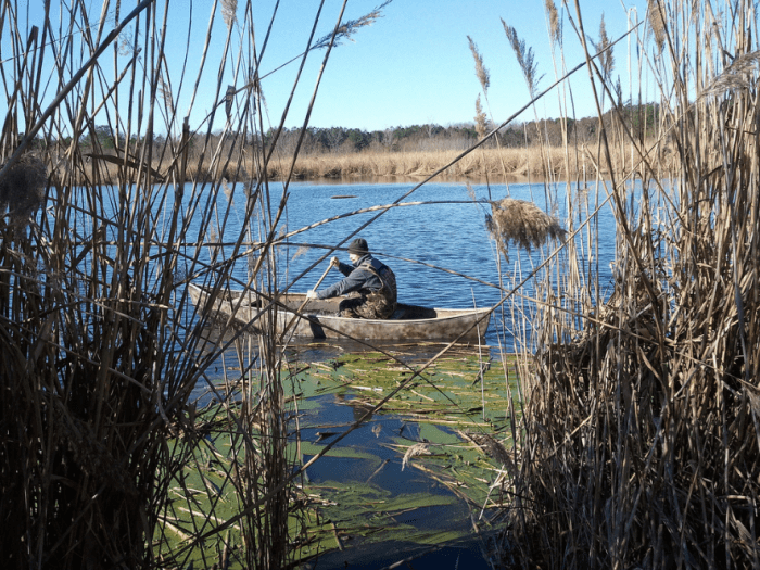 Canoes, like this one here, provide many of the same benefits at kayaks for duck hunting, but lack some of the customization afforded from newer specialized duck hunting kayaks.