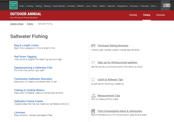 TPWD's Saltwater Fishing Regulations retrieved from http://tpwd.texas.gov/regulations/outdoor-annual/fishing/saltwater-fishing/