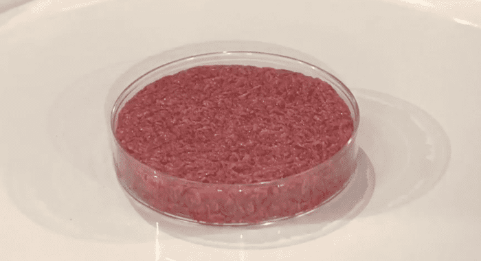 The first cultured meat hamburger ready to be cooked. This will be the future of meat production, where no antibiotics or hormones are used.