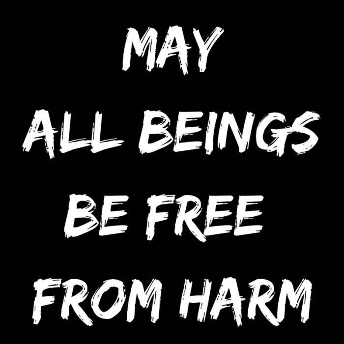 an-analysis-of-animal-rights-and-peter-singers-animal-liberation