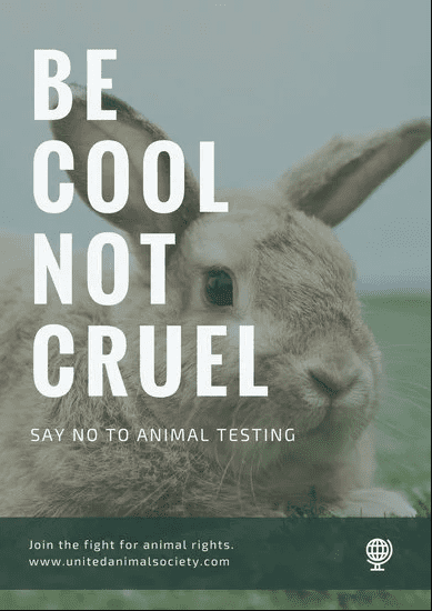 an-analysis-of-animal-rights-and-peter-singers-animal-liberation