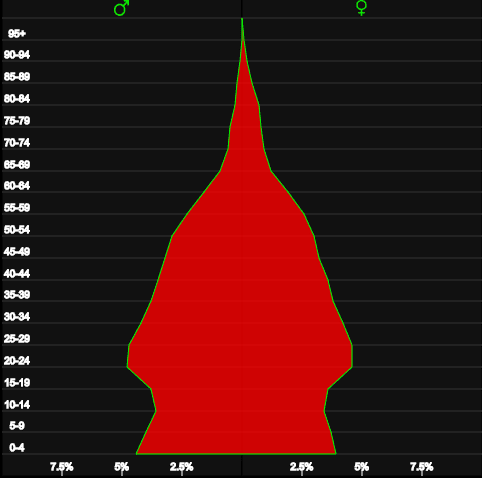 The age pyramid of Vietnam became narrower at the bottom in 2015, indicating clear changes in the country’s age structure