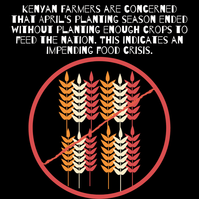 As Kenyan farmers are hurt by the COVID-19 crisis, farmers are worried about a nationwide food shortage.