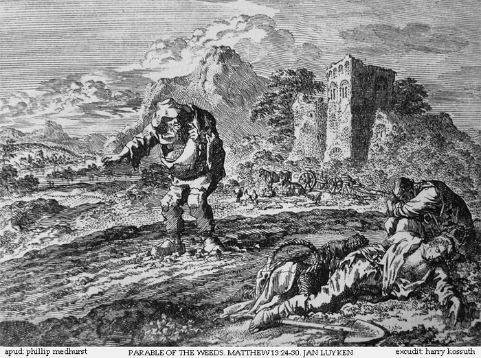 Parable of the Tares; Matthew 13: 24-30.