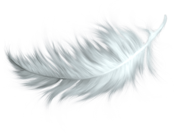 lulu-and-the-archangel