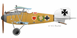 The Albatross D7 - the most prolific fighter aircraft of World War 1. this plane was specifically banned under the Treaty of Versailles