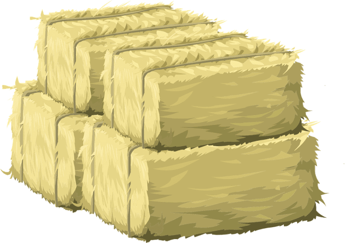 In my "hay day," hay was always baled into square cubes and stored into barns for feeding the livestock.