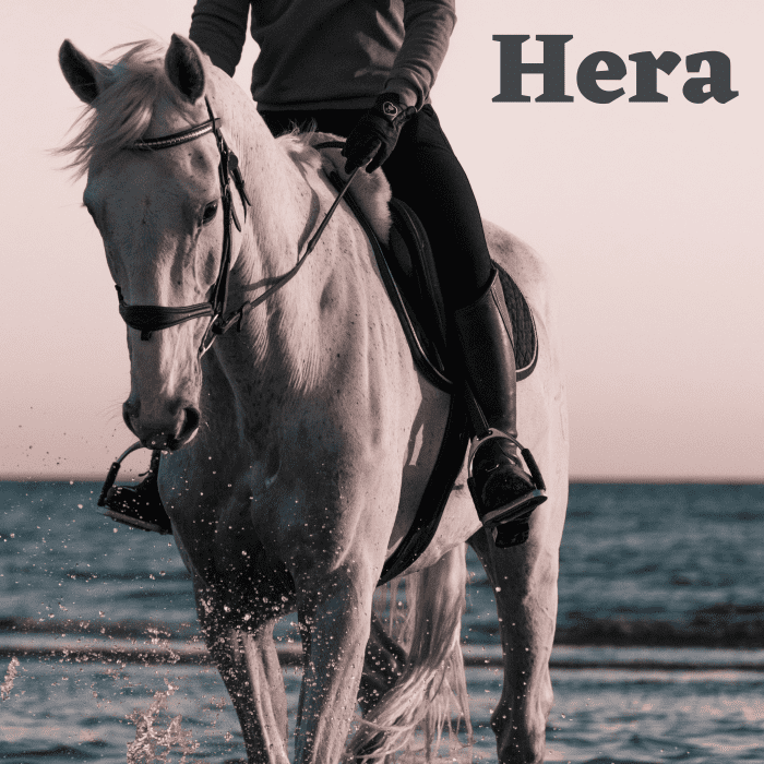 Гера могла бы стать прекрасным именем для особенно царственной лошади. 