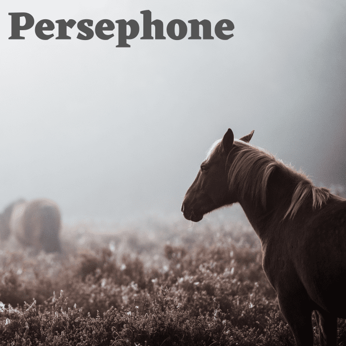 Персефона — прекрасное имя для любой лошади, которая особенно любит весну. 