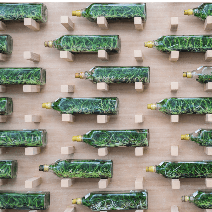This architectural wall fashioned with bottled plants creates a three-dimensional effect while still giving off a clean and sleek look.