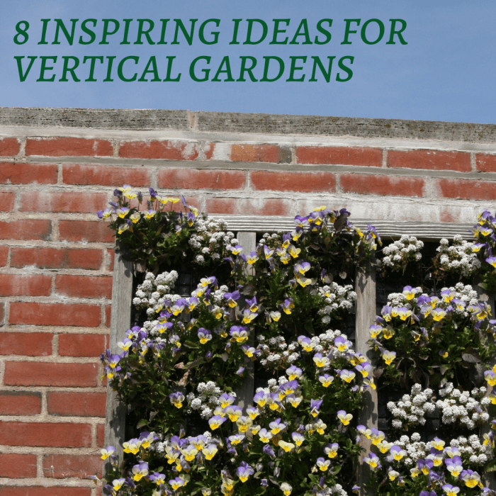 This guide will provide a look at eight unique and wonderful options for crafting an exquisite vertical garden.