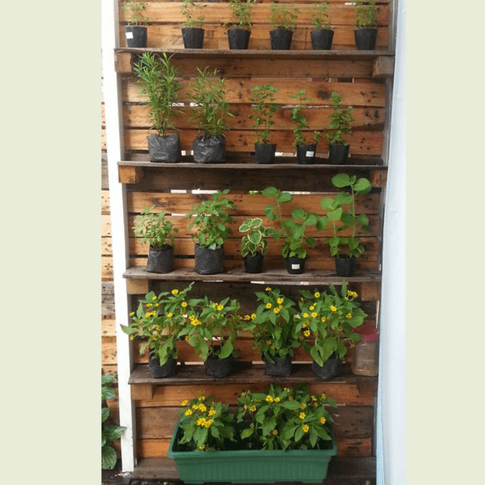 This pallet wall installation can be easily made from an old discarded pallet and can immediately provide a comforting rustic look without any additional work.