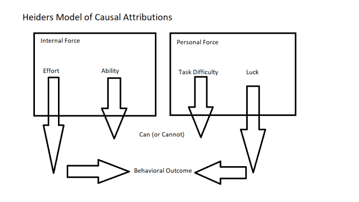 what is causal attribution in psychology