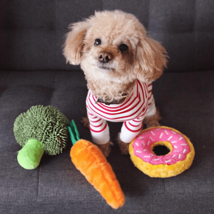 Make sure you choose a healthy diet for your pup.