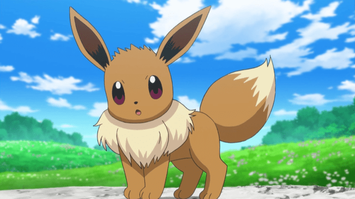 Ash's travelling partner through the Kalos region, Serena, has an Eevee of her own.