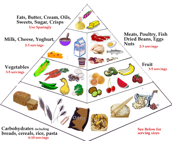 Balanced Diet and Cholesterol Control - HubPages