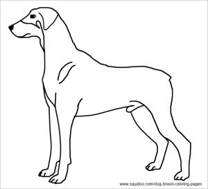 Dog Breed Coloring Pages - HubPages