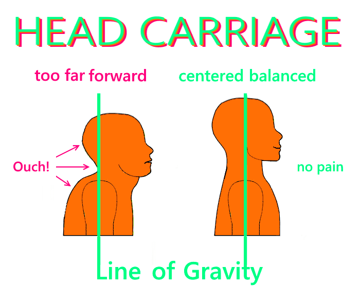 The green line shows the line of gravity. Holding the head in front of the body creates a double chin, a short, over-curved neck and much pain to go with it.