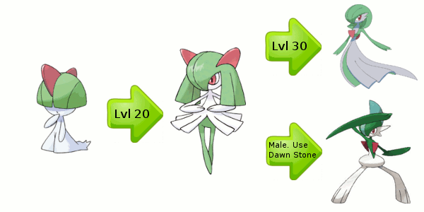 Ralts Evolution Chart - HubPages