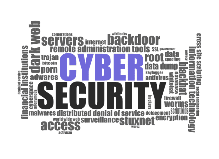Cyber defense is a growing career field in Arizona and Mexico, involving both public and private companies.