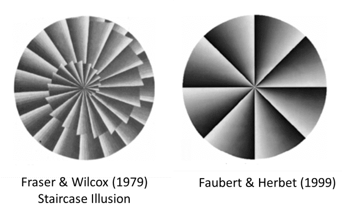 Faubert & Herbert (1999) coined the term 'peripheral drift' to describe these types of visual illusions.