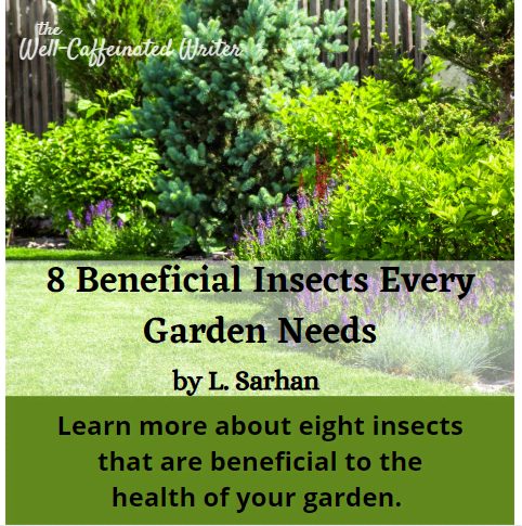 This article gives a list of eight insects that are beneficial to gardens, including what makes them beneficial and how to attract them.