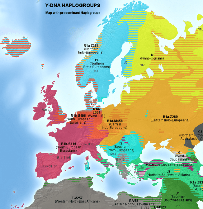 Haplogroup I1, the only haplogroup unique to Europeans, reaches its highest frequencies in Scandinavia.
