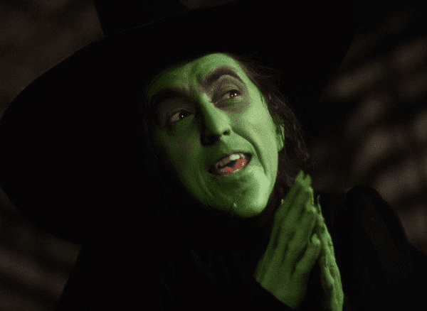 Make Your Own Wicked Witch of the West Costume - Diy Halloween Costume ...