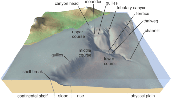 An illustration showing the key features of the ocean floor leading down to the abyssal plain
