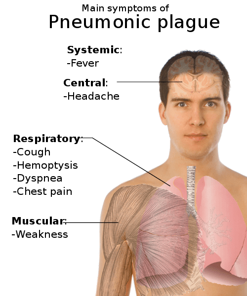 Pneumonic plague was responsible for the respiratory symptoms of the Black Death and for making it spread from person to person